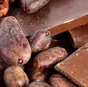 с истёк. сроками барри калебаут, шоколад в Москве и Московской области 9